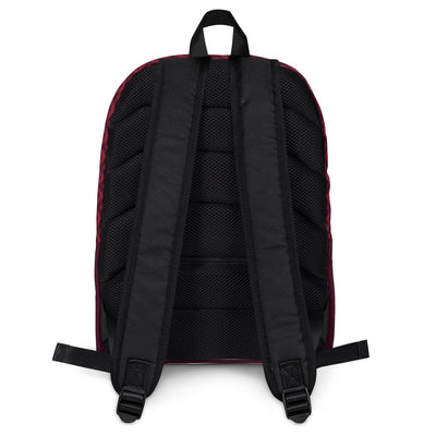 Seductive Color Block Backpack