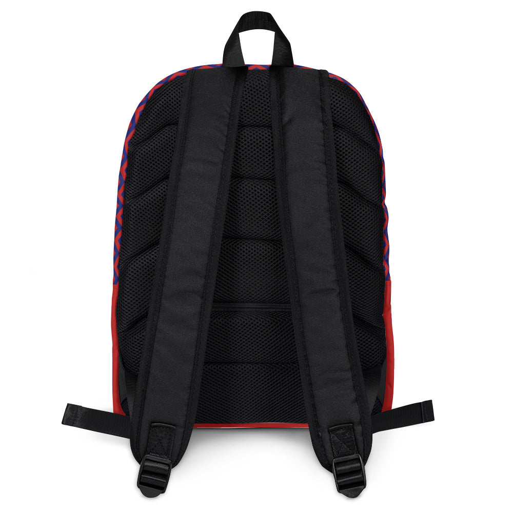 Accordantly Color Block Backpack